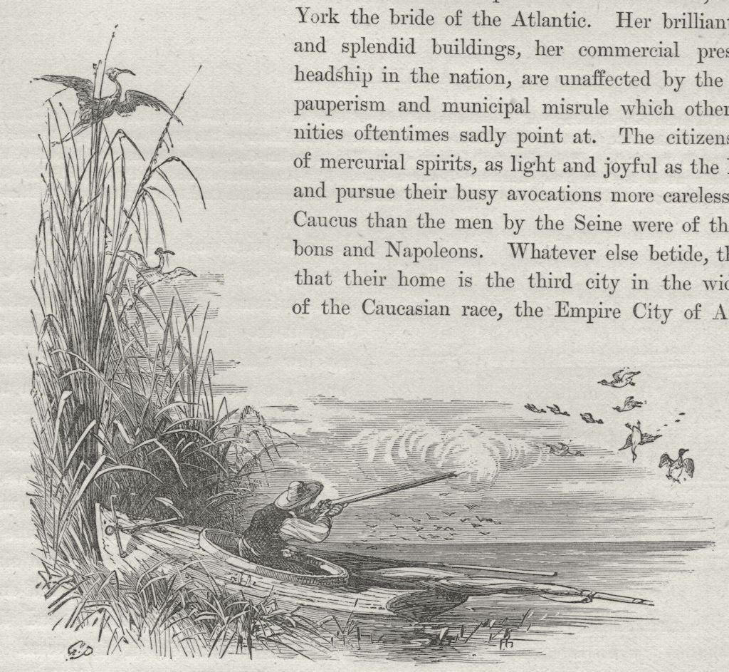 NEW JERSEY. Sport on the New Jersey Shore 1882 old antique print picture